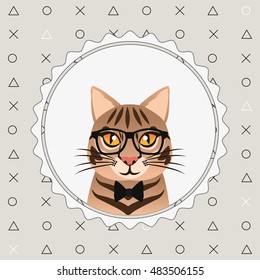 hipster style cat image 