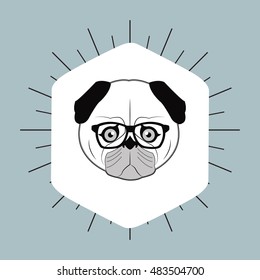 hipster style pug dog  image 