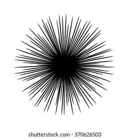 Hipster Style Retro Starburst. Logo. Vintage Vector Illustration.