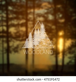 Hipster triangle logo with forest trees on blurry forest and lack background