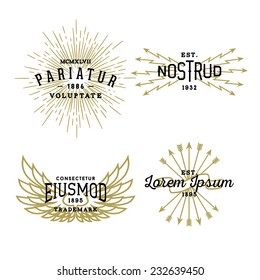 hipster vintage label, logotype, badge for your business or t-shirt print with star burst, lightning, wing, arrow, ribbon