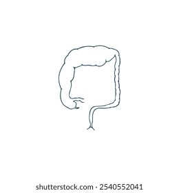 Hirschsprung Disease Illustration of Large Gut Vector