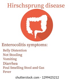 Hirschsprung disease. Illustration of the large intestine colon