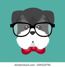 hispter puppy glasses red bow