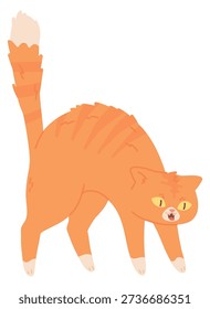 Hissing cat. Scared animal. Angry pet icon