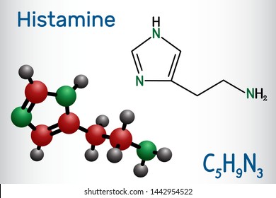 Histamine molecule. It is amine, nitrogenous compound, stimulant of gastric secretion, vasodilator, and centrally acting neurotransmitter. Structural chemical formula and molecule model. 