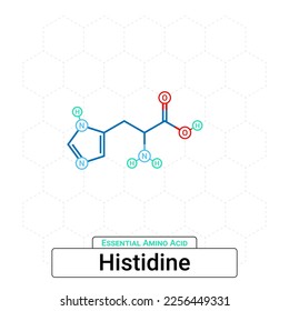 Histidine Chemical Structure Essential Amino Acid Organic Molecules, Functional, Side Chain, Carboxyl, Amino Group, Protein Building Block Isolated on Whited Background, Chemistry, Biology