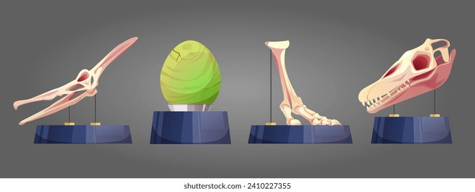 El museo arqueológico histórico exhibe elementos en el estrado. Dibujo vectorial de dibujos animados conjunto de huesos esqueletos de dinosaurio, cráneo y huevo de animales prehistóricos. Artefacto paleontológico de época jurásica.