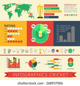 Historical background facts and international cricket matches statistics diagrams charts and rating report poster abstract vector illustration