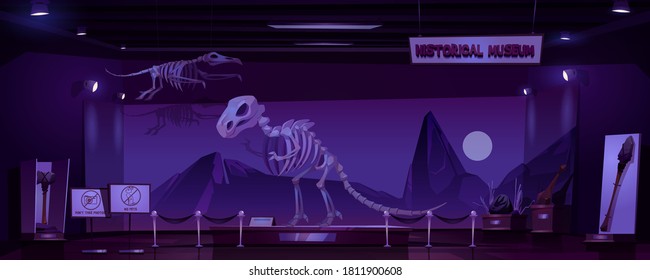 Historical Museum With Dinosaur Skeleton And Archeological Exhibits At Night. Vector Cartoon Interior Of Empty Dark Room Of Exhibition With Prehistoric Animals And Primitive Tools 