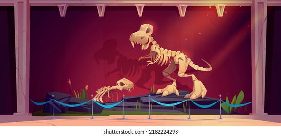 Historical museum exhibition with dinosaur skeletons. Vector cartoon illustration of paleontology museum interior with prehistoric animals bones, fossil extinct dino on stones and grass