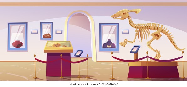 Historical museum interior with dinosaur skeleton and archeological exhibits. Vector cartoon illustration of exhibition of paleontology and archeology, prehistoric animals and ancient artefacts