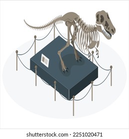Historical museum interior with dinosaur skeleton and archeological exhibits. Vector cartoon illustration of exhibition of paleontology and archeology, prehistoric animals and ancient artefacts