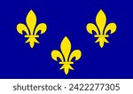 Historical province Ile De France  flag vector illustration isolated.