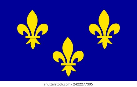 Historical province Ile De France  flag vector illustration isolated.