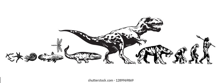 Historia de la vida en la Tierra. Cronología de la evolución de animales prehistóricos, dinosaurio, tigre dientes de sable, mono para caverna hombre. Desarrollo humano. Dibujo manual de dibujo estilo ilustración vectorial aislada.