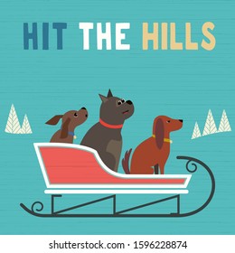 Hit hills fun flat vector poster. Comic dogs in sled cute cartoon. Winter park outdoor sledging activity, family fun invitation template background. Snow sledding party celebration design illustration