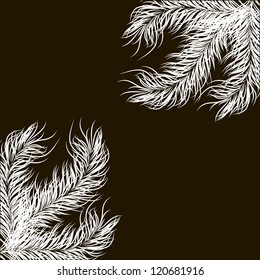 hite fir tree branch on a black background.Vector