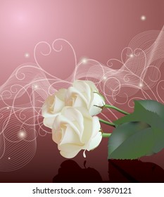 hite roses on festive background, vector