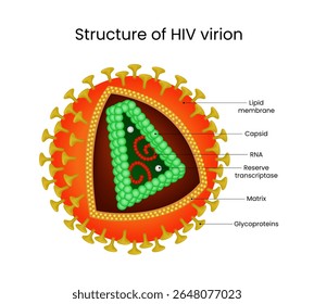 HIV Virion Structure Detailed View