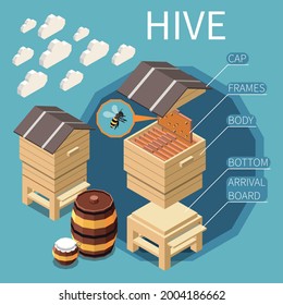 Hive construction isometric background with cap frames body bottom arrival board elements vector illustration