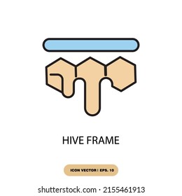 hive frame icons  symbol vector elements for infographic web