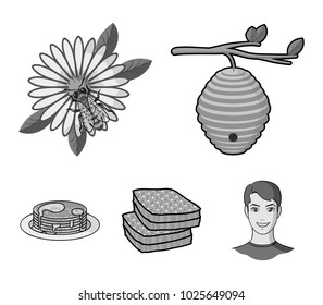 A hive on a branch, a bee on a flower, a honeycomb with honey, a honey cake.Apiary set collection icons in monochrome style vector symbol stock illustration web.