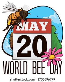 Hive with a swarm of bees around it, flower, bush and sky view to celebrate World Bee Day with worker honey bee flying over calendar with reminder date for this commemoration: 20th May.