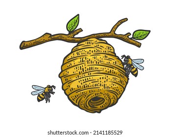 Hive of wild bees on tree color sketch engraving vector illustration. T-shirt apparel print design. Scratch board imitation. Black and white hand drawn image.