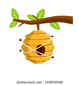 Hive. Yellow beehive. House of wasp and insect on tree.
