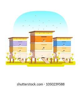 Hives on the field with flowers. Apiary with colorful bee hives and a swarm of bees. Blooming flowers with bees.