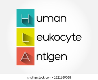 HLA - Human Leukocyte Antigen acronym, medical concept background