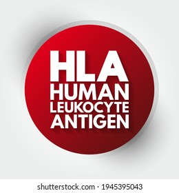 HLA Human Leukocyte Antigen - complex of genes on chromosome 6 in humans which encode cell-surface proteins, acronym text concept background