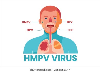HMPV virus banner, Human Metapneumovirus respiratory virus vector ,HMPV virus outbreak, virus floating in a cellular environment vector background