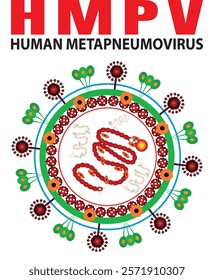 HMPV Virus in White Background. Human Metapneumovirus. Visualizing the Impact of HMPV on the Lungs. Human metapneumovirus concept design on White backdrop, what is vector illustration file