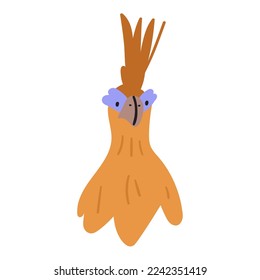 Hoatzin. Bird. Flat vector hand drawn illustration on white background. 