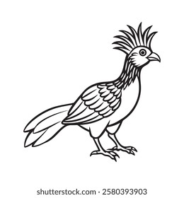 Hoatzin Vector Illustration and Cartoon Clipart and Line Art Design