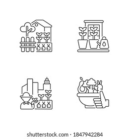 Hobby farming linear icons set. Backyard garden. Watering plants in pots on windowsill. Customizable thin line contour symbols. Isolated vector outline illustrations. Editable stroke