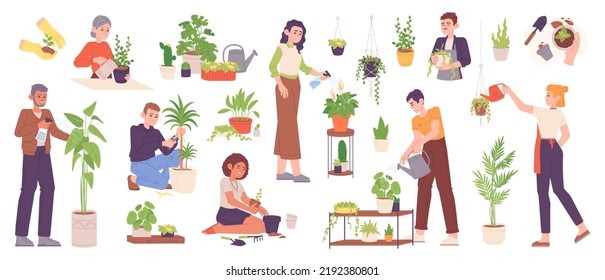 Hobby growing houseplants. Person planting and caring garden plant or grow houseplant in flowerpot, home horticulture farm sprout spray leafage, vector illustration. House plant growing by gardener
