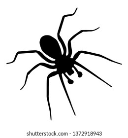 Hobo Spider Clipart