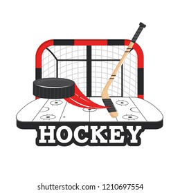 hockey goal with sticks and puck in the rink