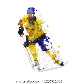 Hockey player, low polygonal isolated vector illustration. Ice hockey, team winter sport