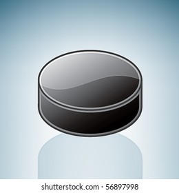 Hockey Puck