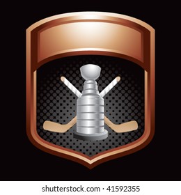 hockey trophy in bronze display