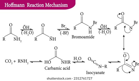 Mecanismo de reacción Hoffmann Bromamide, ilustración vectorial