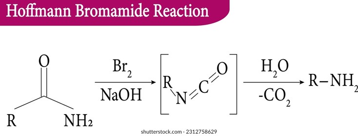 Hoffmann Bromamide Reaction, vector illustration