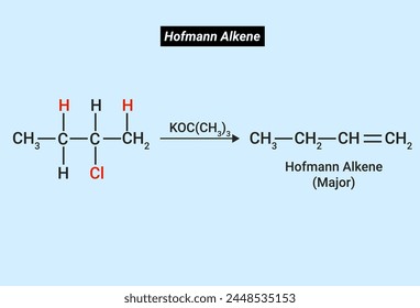 The Hofmann rule states that the major alkene product is the least substituted and least stable product when it comes to asymmetrical amines.