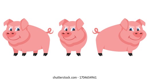Hog in different poses. Farm animal in cartoon style.