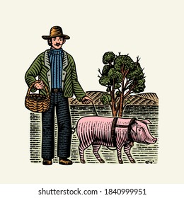 Hog and farmer for locating truffles mushrooms. Domestic pig . Engraved hand drawn vintage sketch. Woodcut style. Vector illustration.