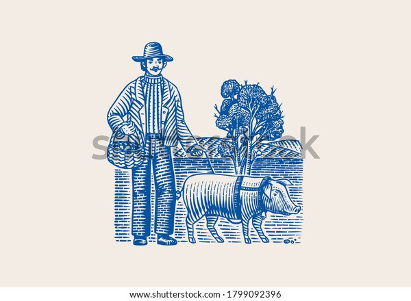 Hog and farmer for locating truffles\
mushrooms. Domestic pig . Engraved hand drawn vintage sketch.\
Woodcut style. Vector\
illustration.